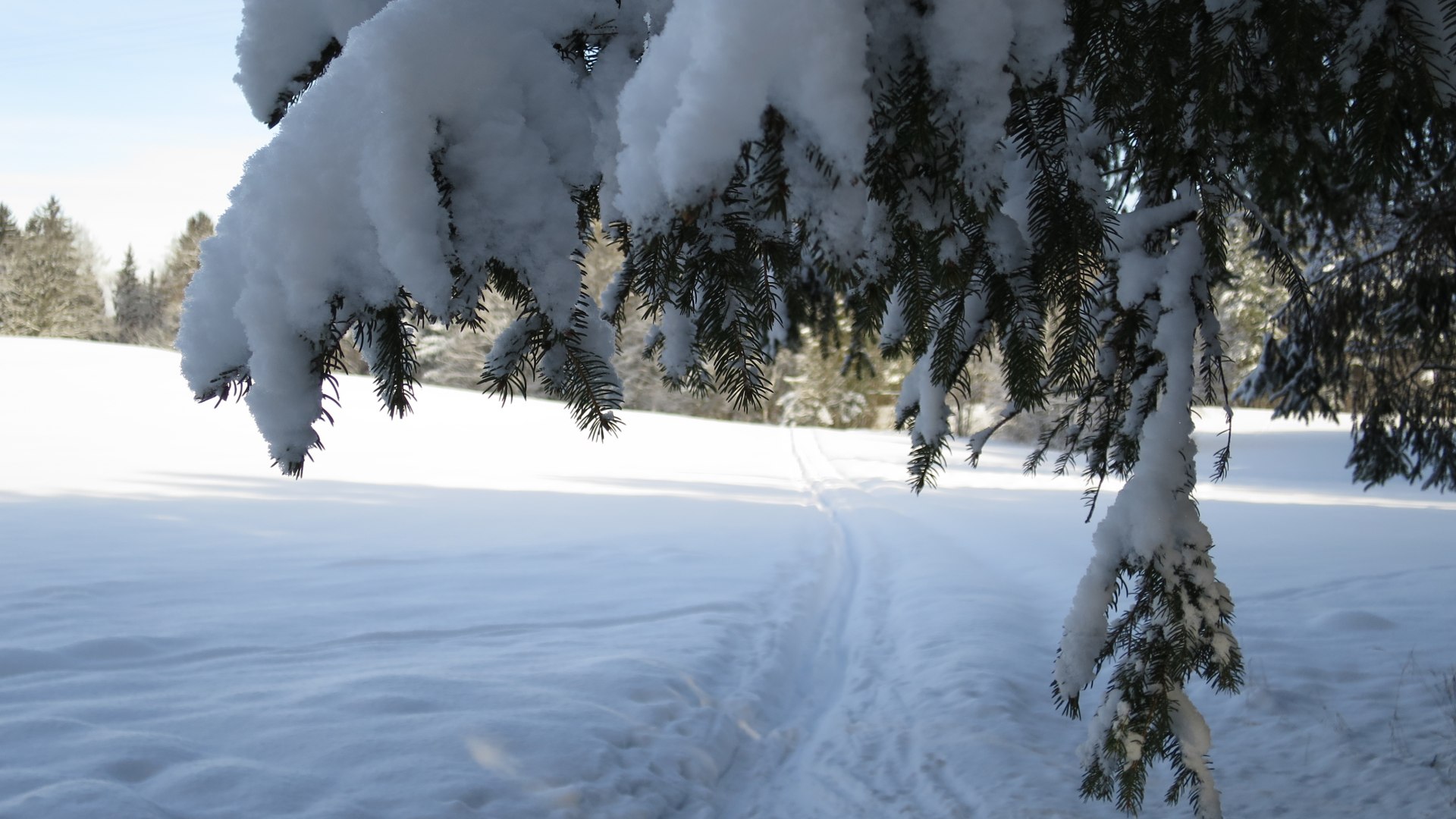 Langlauf in Geretsried, © Stadt Geretsried